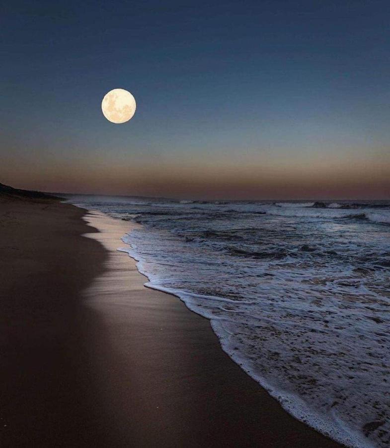 Casa verde Cabo Frio Dış mekan fotoğraf